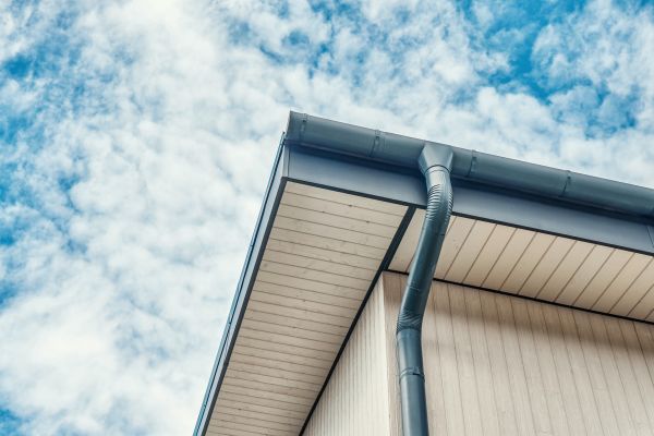 Gutter Fascia Repair in Taylor